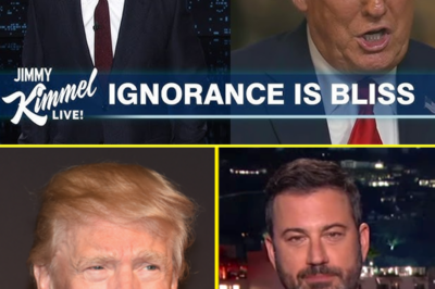 Jimmy Kimmel Says Trump Wants to Close the Department of Education Because ‘Ignorance Is Bliss’ | Video