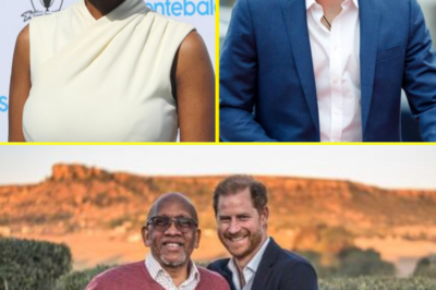 Boss of Prince Harry’s charity hits out over ‘racism, bullying and misogyny’ after he QUIT – as duke left ‘in shock’