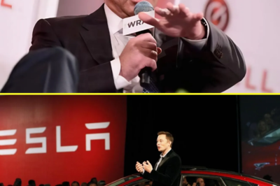 Tesla Chaos: Top Investor Demands Elon Musk’s Resignation After $800 Trillion Stock Crash!