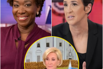 🚨 SHOCKING TURN OF EVENTS! Something Fishy Happened at MSNBC….
