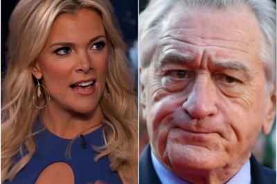 🚨FIRESTORM: Megyn Kelly Slams Robert De Niro as ‘Extremely Stupid’ – His Response to the Hollywood Feud Will Shock You!”
