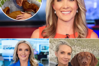 Dana Perino’s Sudden Fox News Absence Sparks Concern Among Loyal Fans…