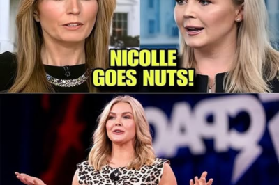 “Karoline Leavitt’s Explosive Moment with Nicolle Wallace Goes Viral — Discover the Shocking Truth Behind Her Violent Reaction!”