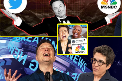 Elon Musk Announces He Has Acquired MSNBC for $900