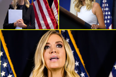 Kayleigh McEnany Reveals the Real Reason Behind Biden