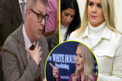 Karoline Leavitt Stuns AP Reporter Josh Boak with Subtle Yet Powerfu