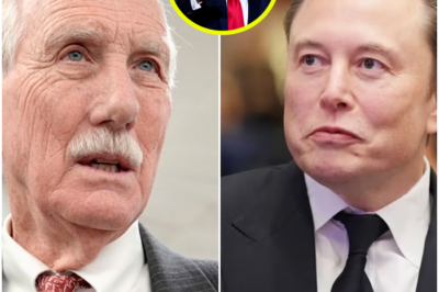 BREAKING NEWS: Independent Senator Angus King Obliterates