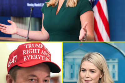 Karoline Leavitt Accidentally Confirms Elon Musk’s Weird Personality Gives Her The Ick