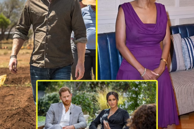 Prince Harry will be ‘cut’ by the allegations of racism and misogyny from his beloved charity Sentabale – but ‘what goes around, comes around’ as they were the same toxic accusations he made at the Royal Family, say our experts on PALACE CONFIDENTIAL