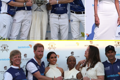 Prince Harry allegedly asked chairwoman of his former charity to publicly defend Meghan Markle