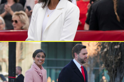 Greenland PM reacts boldly to Usha Vance’s visit amid U.S. annexation push – What he said