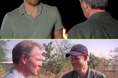 Inside Prince William’s royally big fall-out with journalist Tom Bradby: The heir to the throne cut off the ITV golden boy after he betrayed him by doing THAT South Africa interview with Harry and Meghan