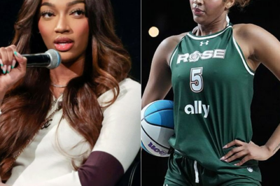 WNBA into a new era of cultural relevance and fan excitement?