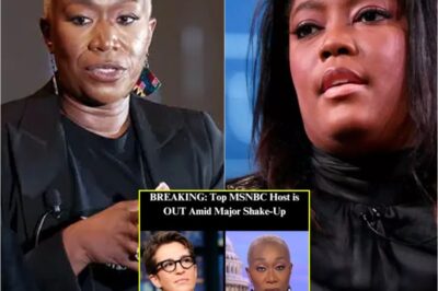 MSNBC Shocker: Joy Reid’s Show