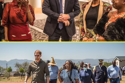 Prince Harry in astonishing ‘racist, sexist bullying’ row: Chairwoman of his beloved African charity makes thinly veiled swipe at those who ‘play the victim card’ and accuses colleagues of ‘harassment and misogyny’ – after he QUIT amid bust-up with her