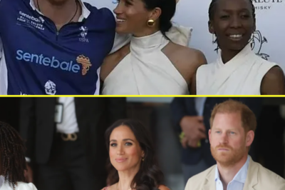 Victim Prince Harry accused of very thing he & Meghan Markle famously levelled at Royals in delicious twist of irony