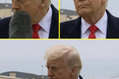 President Trump gets accidentally hit in the face with a boom microphone – His reaction (VIDEO)