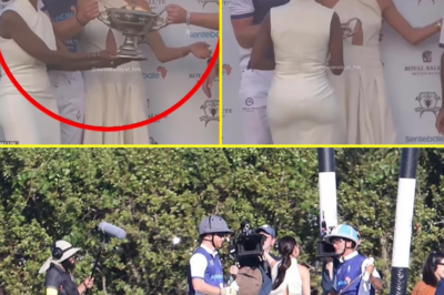 The ‘damning’ video at the heart of extraordinary row engulfing the Sussexes: How awkward exchange between Sentebale charity boss and ‘toxic’ Meghan and Harry unfolded