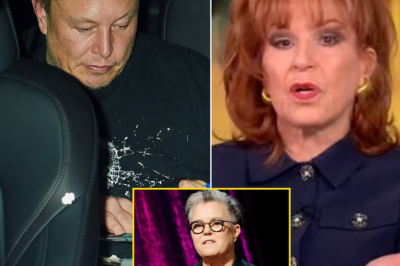 Elon Musk’s $70 Million Defamation
