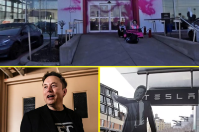 BREAKING!  A Tesla dealership in Montreal now looks like this after Elon Musk said “Canada is not a real country.”