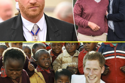 Prince Harry ‘in shock’ as he quits African charity amid foundation’s mounting legal issues