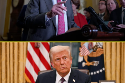 Chuck Schumer accuses Trump of causing a ‘constitutional crisis’ for battling with judges over immigration