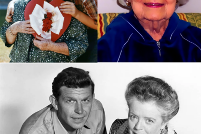 “The Silent Divide: Why Frances Bavier Refused to Reconcile with Andy Griffith Before Her Death”