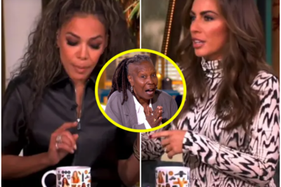BREAKING: The View Hosts in Hot Water After ABC Issues a Serious Warning