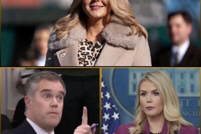 🚨 UNEXPECTED FALLOUT: NBC’s Peter Alexander Stunned by Aftermath of Fiery Exchange with Karoline Leavitt