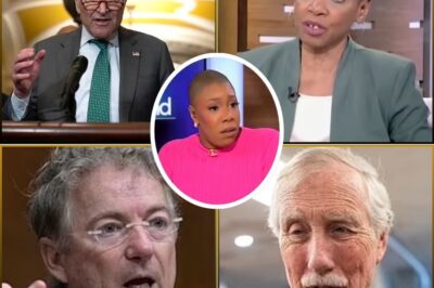 🚨 Veteran MSNBC host Sanders Townsend DESTROYS everything with his own professional prowess