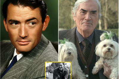 “Gregory Peck’s Secret Compassion: Did He Save More Animals Than Hollywood Ever Knew?”