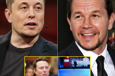 “Can Elon Musk’s Stunning