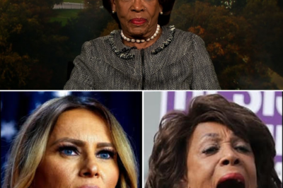 “Did Maxine Waters Just Ignite a