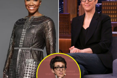 Media Chaos Erupts as Rachel Maddow Calls NBC Bosses ‘Bastards’—Exposes Dark Truth Behind Joy Reid’s Sudden Firing! Her Jaw