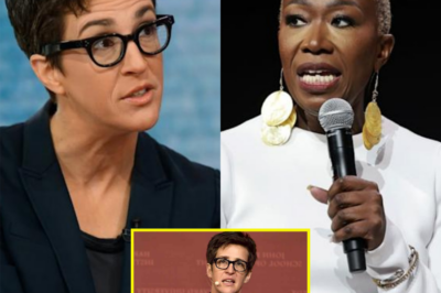 Rachel Maddow Unleashes Explosive Rant Live on Air – Blasts NBC Execs as ‘Corrupt Bastards,’ Exposing Secret Motives Behind Joy Reid’s Abrupt Termination!