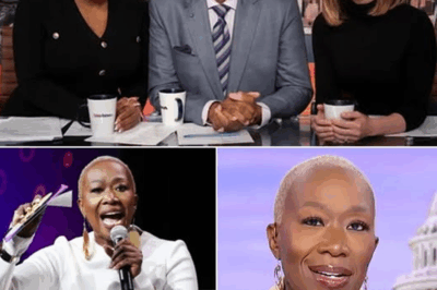 BOMBSHELL REVELATION: Rebecca Kutler’s Struggle to Reach Joy Reid After Sudden Firing Sparks Explosive Speculation—What’s the Truth? 😱🧐