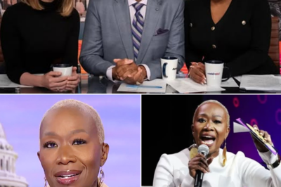 Strange Rumors Swirl After Rebecca Kutler’s Failed Attempts to Reach Joy Reid Following Her Sudden Firing – Why Are Fans Losing Their Minds Over This Shocking Turn of Events? What’s the Real Story?