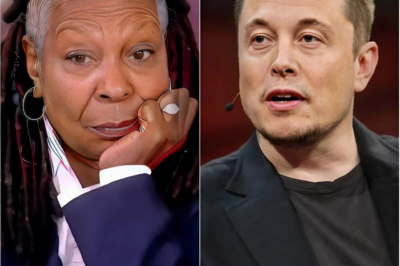 BREAKING NEWS: Elon Musk Takes a Bold Step—Announces Public Campaign to End The View Once and For All! What’s Behind His Shocking Decision?