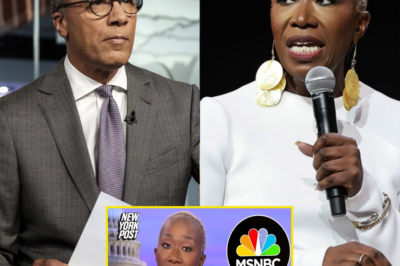🚨 Breaking News: Lester Holt Officially Steps Down from NBC Following Joy Reid’s Firing