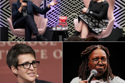 SHOCKER: Rachel Maddow’s Explosive Revelation About Joy Reid’s Firing—NBC Executives Exposed as ‘Bastards’ in Media Power Struggle!