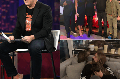 KAT TIMPF’S SHOCKING FOX NEWS COMEBACK: Greg Gutfeld’s Emotional Reveal Sparks Frenzy—What Secrets Did She Hide During Her Hiatus? Will Her Return End with Her Battle Against Breast Cancer?