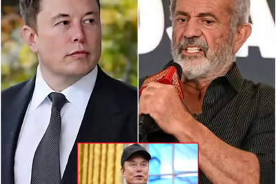 SHOCKING COLLABORATION: Mel Gibson and Elon Musk Unite to Expose Beyoncé’s Dark Secrets—Fans Are Left Stunned by Their Jaw-Dropping Revelations!
