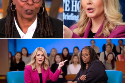 Whoopi Goldberg issues a challenge to Karoline Leavitt after being forced off “The View” set
