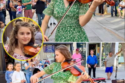 HEART-POUNDING RENDITION: Karolina Protsenko’s Violin Gives ‘Dust in the Wind’ A New Life—Why Fans Are Calling It Her Most Moving Performance Yet! Don’t Miss It!