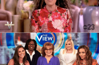 The View is undergoing major changes for the upcoming season after fears of cancellation! What’s next for the show? Check out all the details in the first comment!