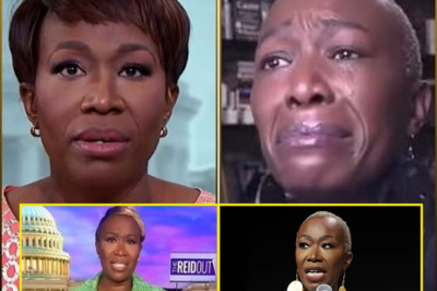 SHOCKER: Joy Reid Opens Up About Her Sudden Firing from CNBC…