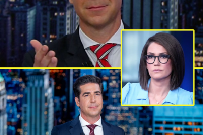 Jesse Watters mocks Fox News co-host for her take on deportation of innocent man