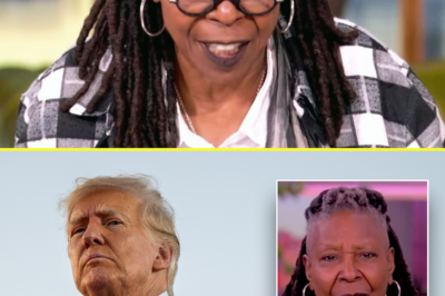 Whoopi Goldberg takes a jab at President Trump, says ‘Even I could do a better job than this’
