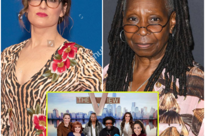 SHOCKING TURN AT ‘THE VIEW’: ABC Issues Stern Warning to Hosts After Explosive On-Air Drama—What Really Happened Behind the Scenes to Spark the Crisis? Fans Stunned as Controversial Incident Threatens Talk Show’s Future!