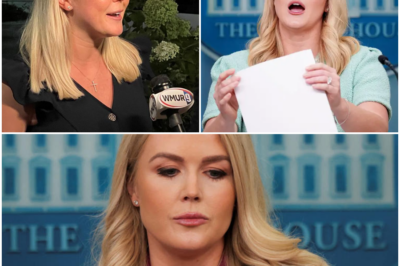 🚨 SHOCKING EXPOSE: Why Did Karoline Leavitt Leave Her ‘Dark Side’ Job? Unbelievable Truth Behind Her Decision Revealed—You Won’t Believe What’s Happening! 😱👇👇